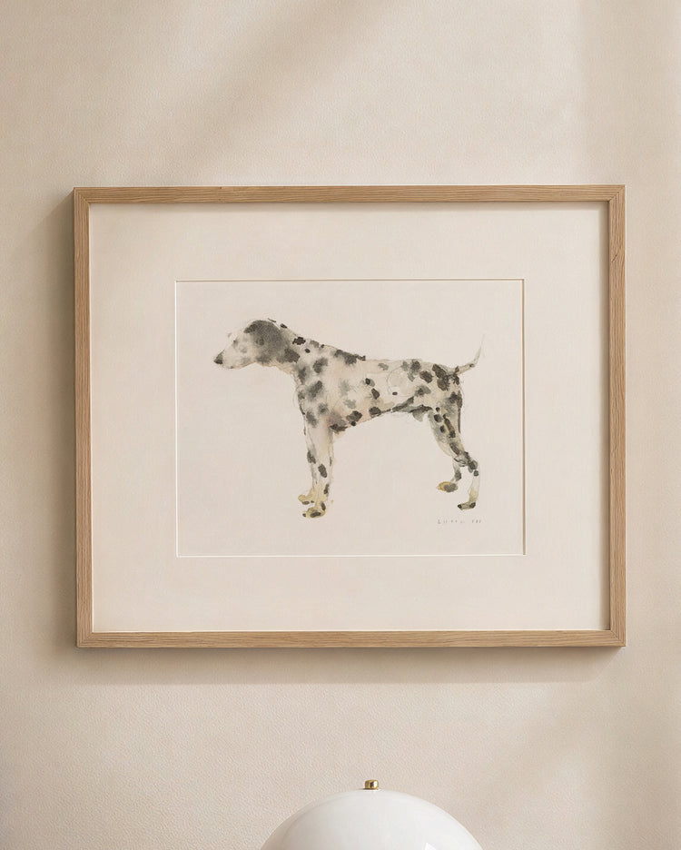 Dalmatian