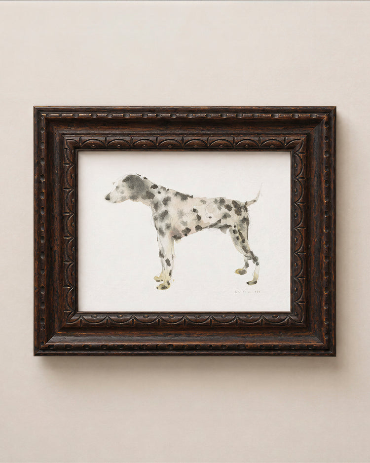 Dalmatian