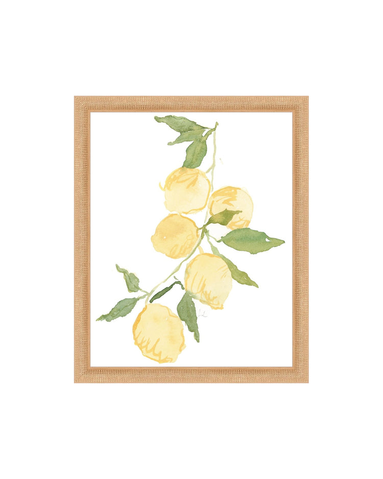 Lemon Branch