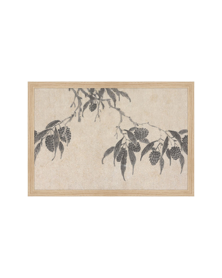 Shadowed Blooms 7