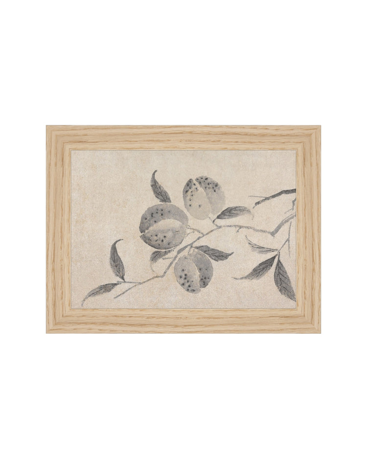 Shadowed Blooms 8