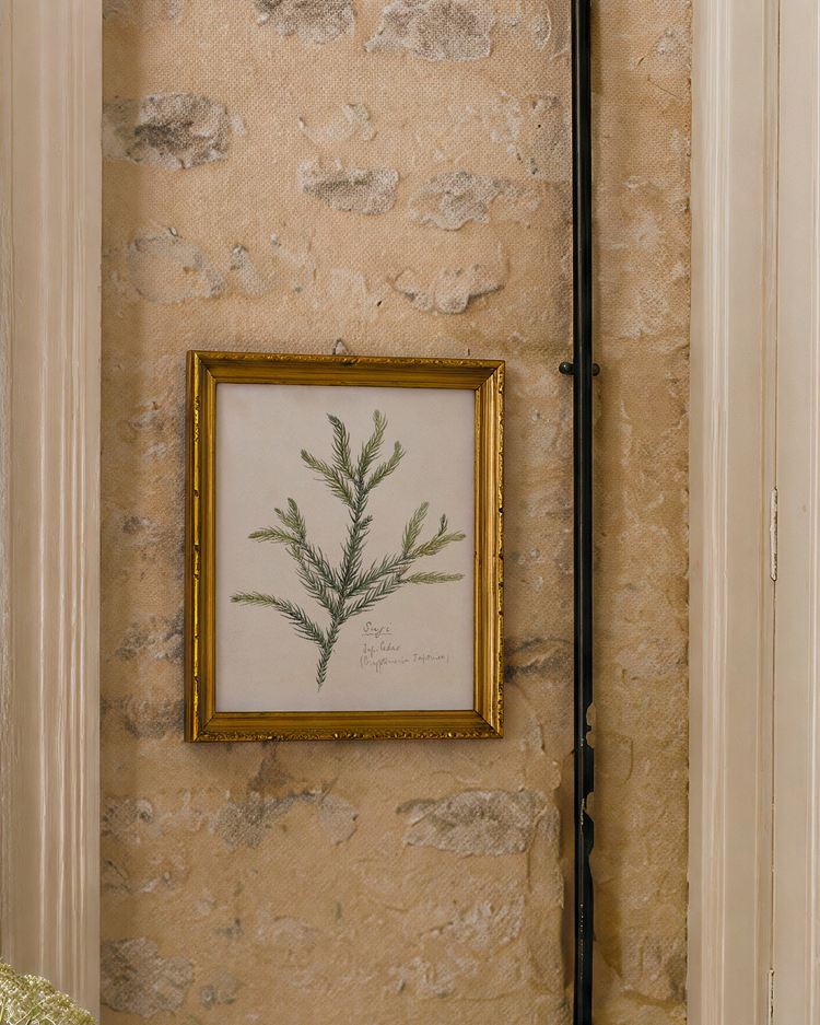 Evergreen Branch Study II