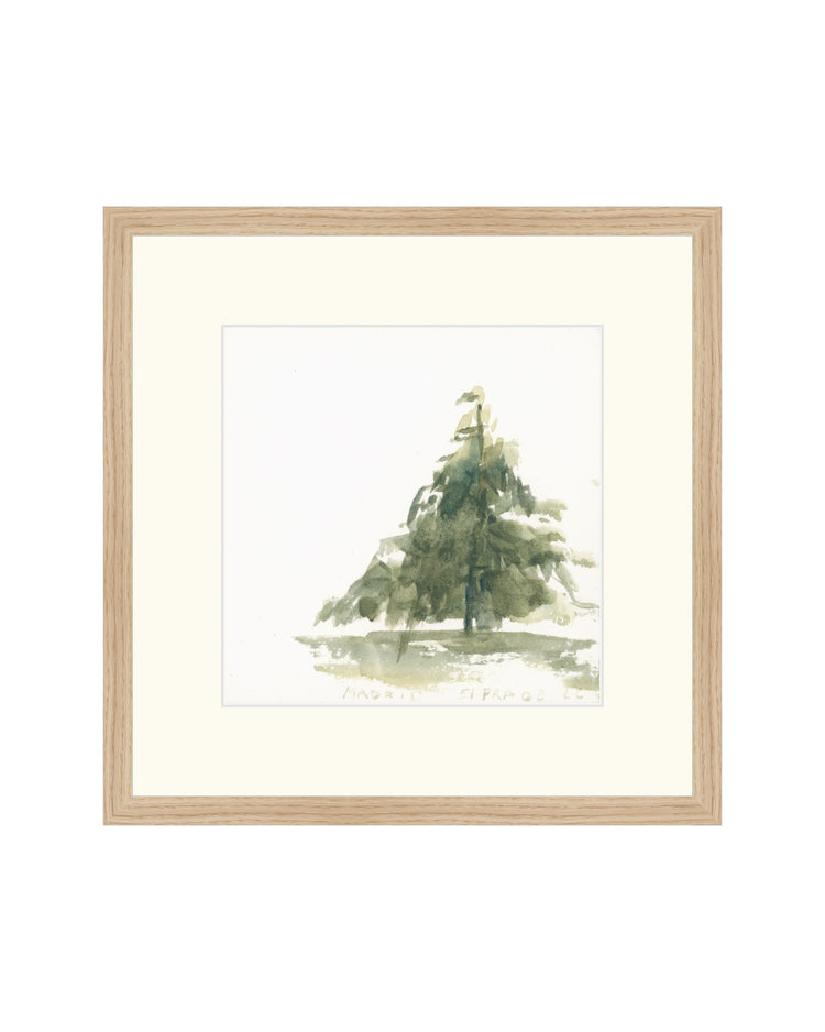 Pine Studies III