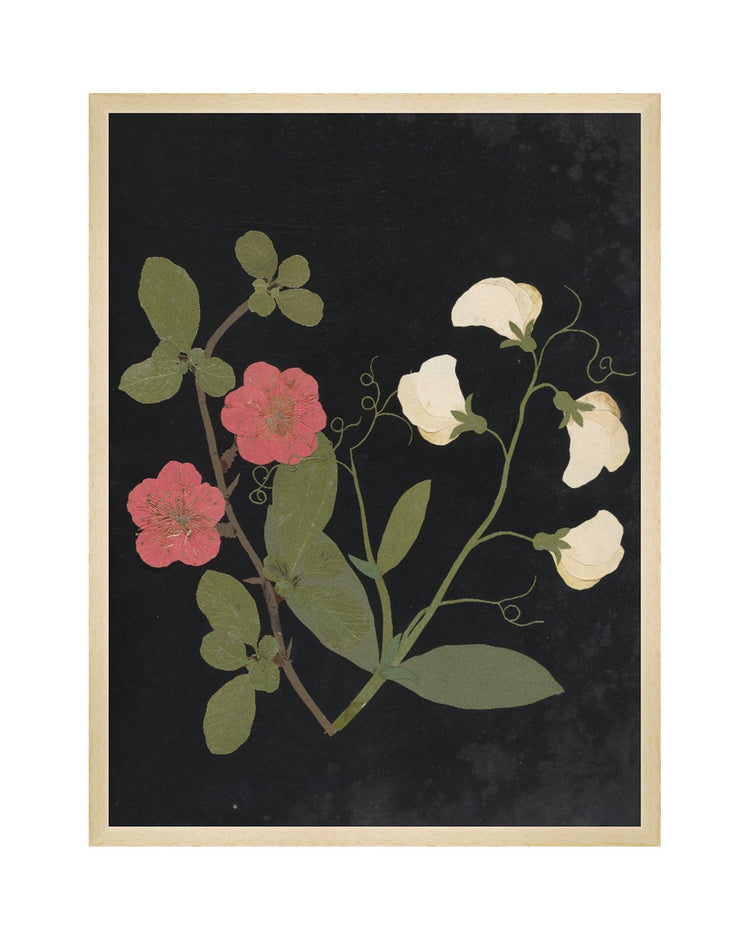 Flower Study V