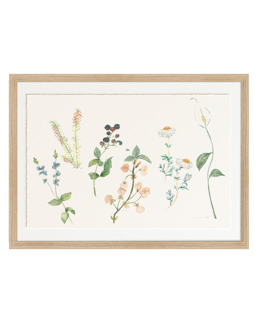 Gathered Botanicals