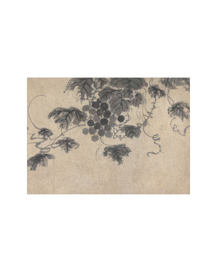 Shadowed Blooms 6