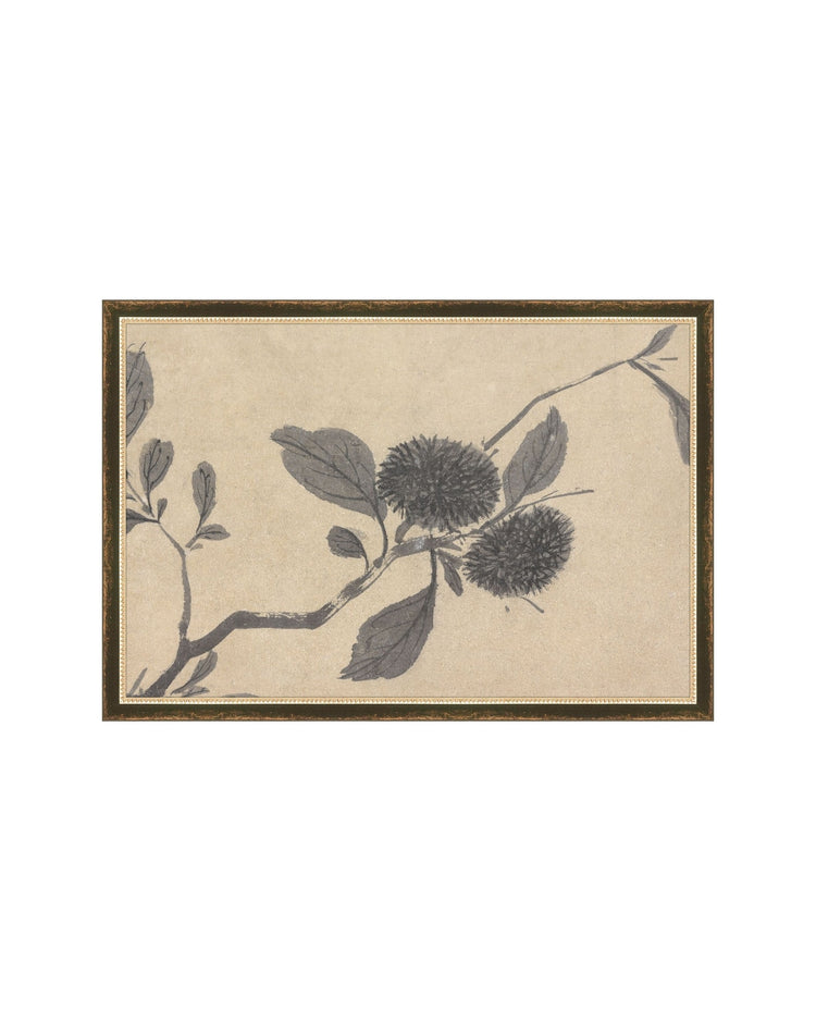 Shadowed Blooms 3