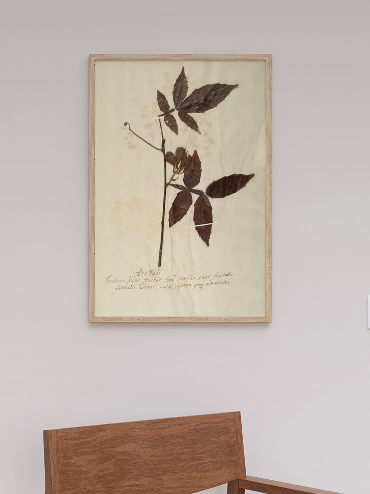 Herbarium I