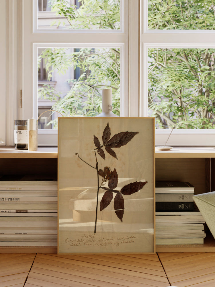 Herbarium I