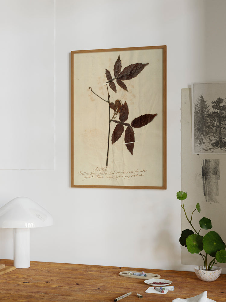 Herbarium I