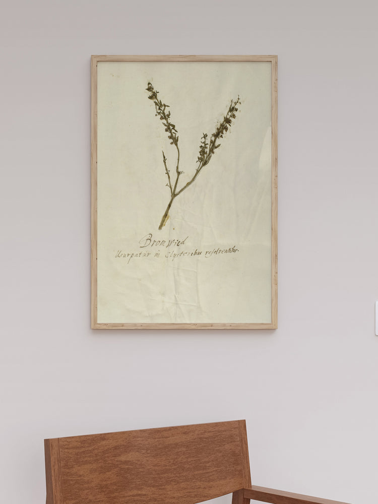 Herbarium VII