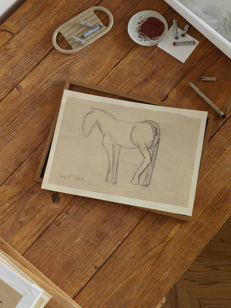 Horse Sketch