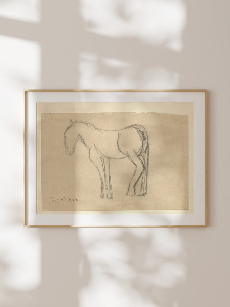 Horse Sketch