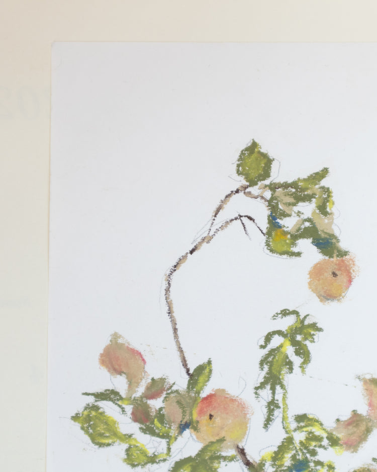 Apple Branches Pastel Drawing