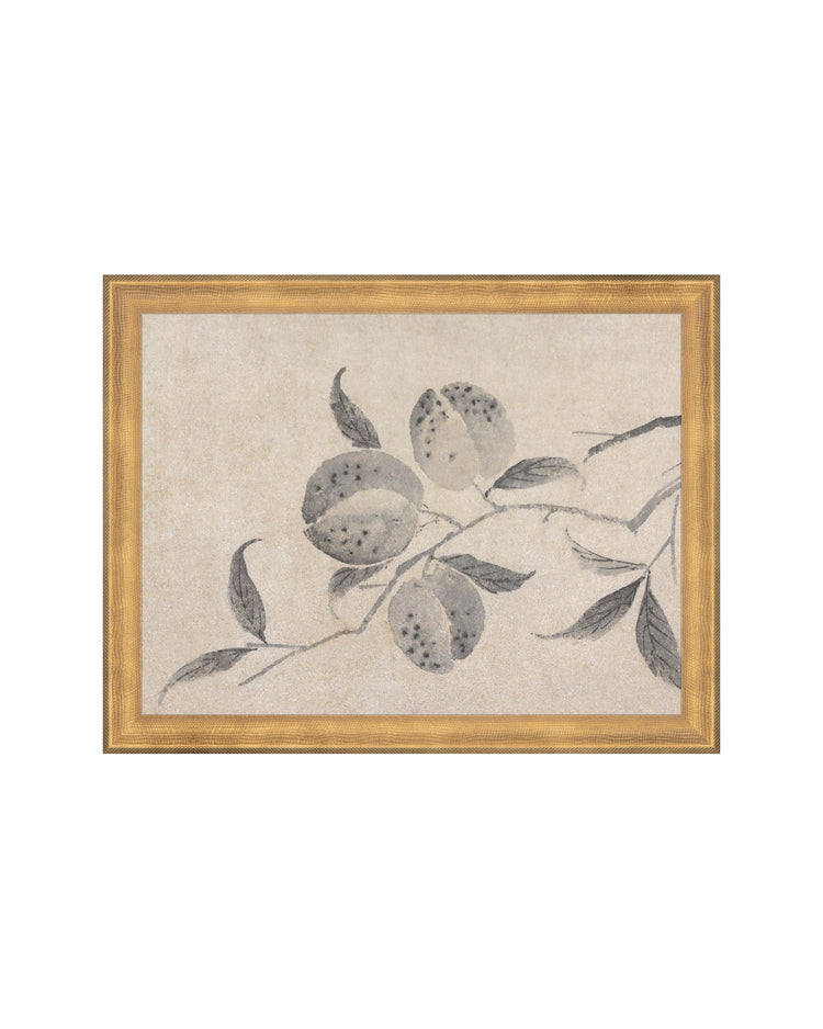 Shadowed Blooms 8