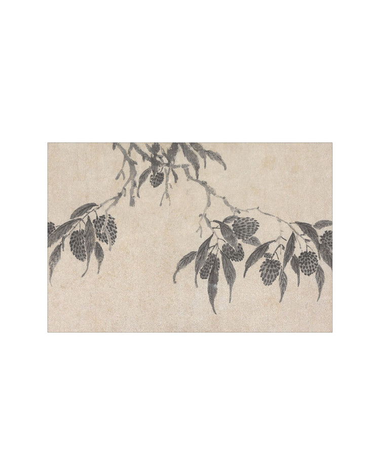 Shadowed Blooms 7
