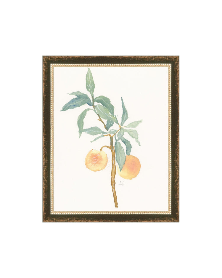 Peach Branch