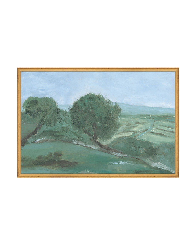 Olives Field Study