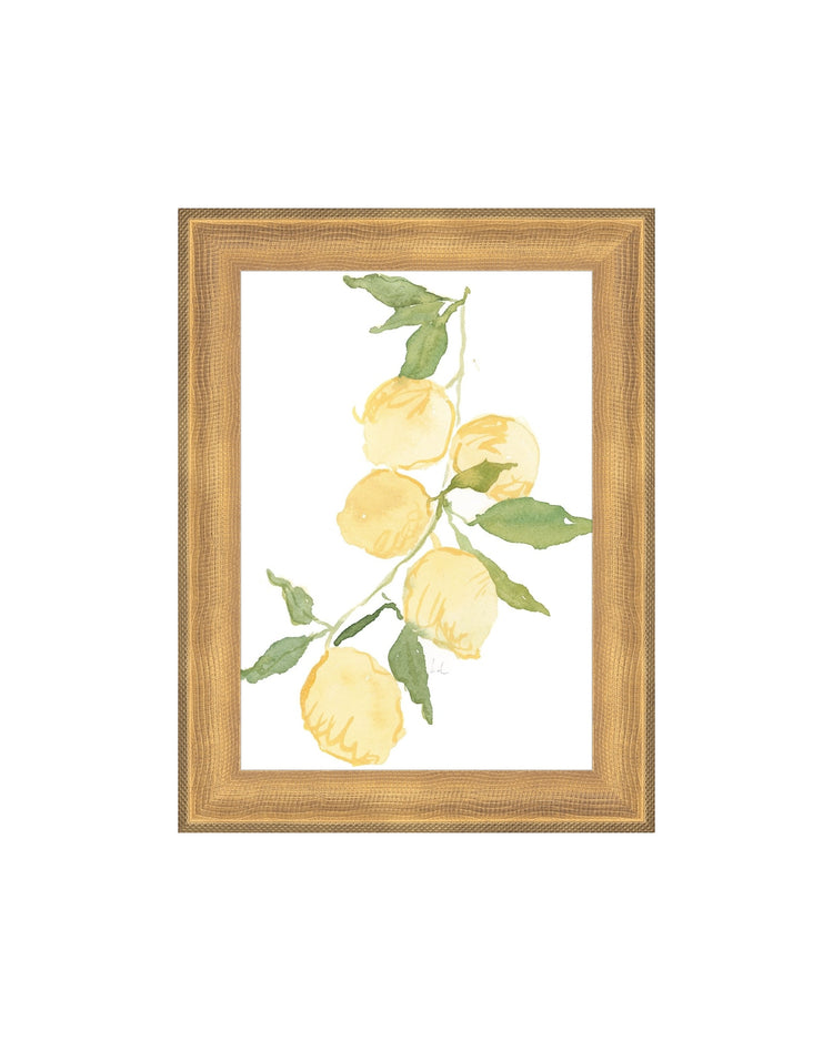 Lemon Branch