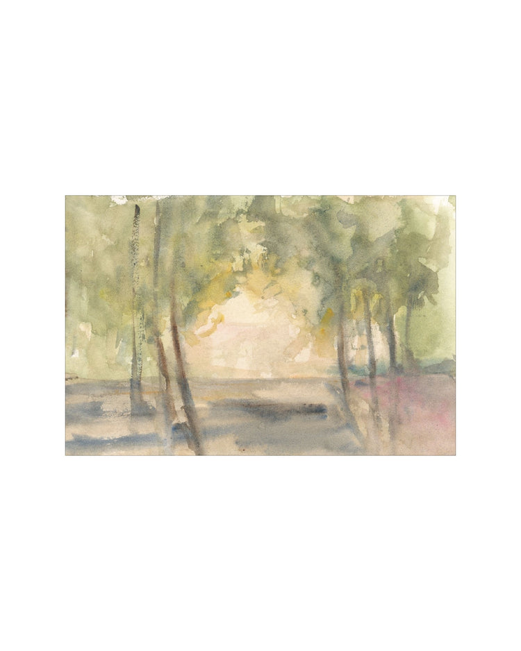 Light Through the Trees