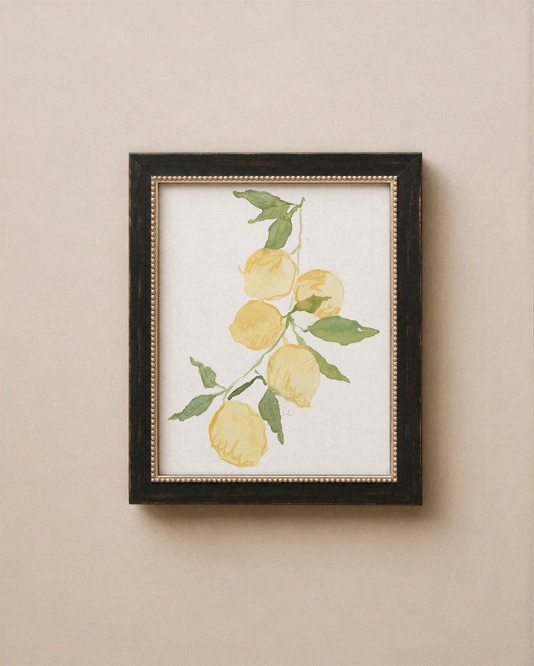 Lemon Branch