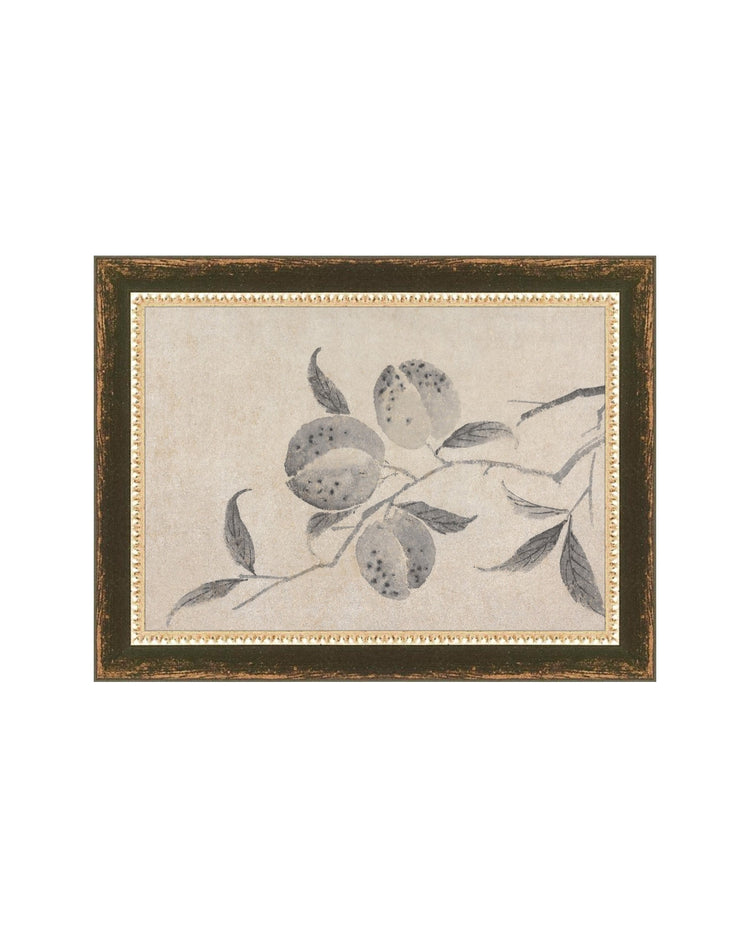 Shadowed Blooms 8