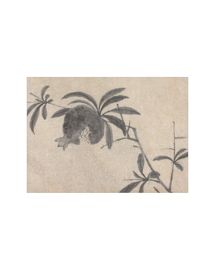 Shadowed Blooms 4