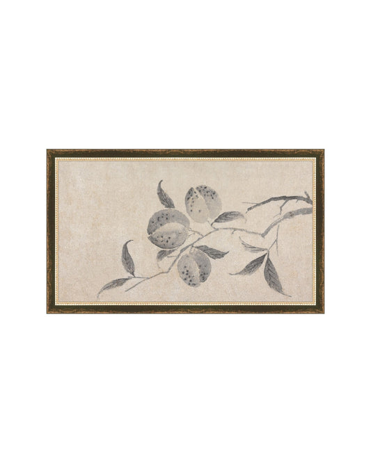 Shadowed Blooms 8