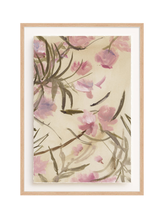 Pink Adelfa