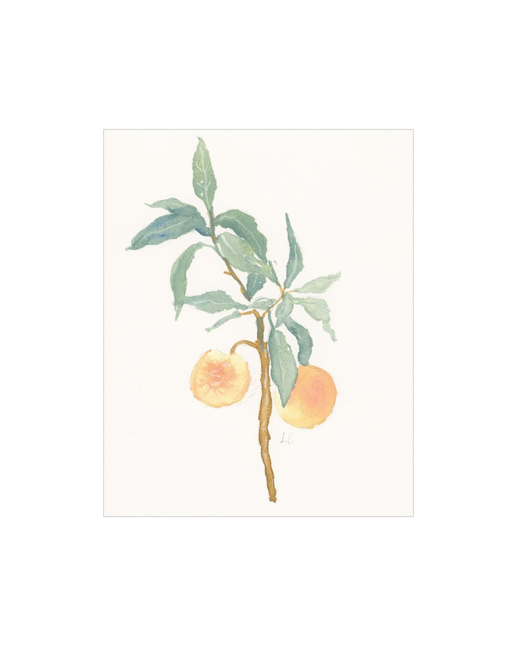 Peach Branch
