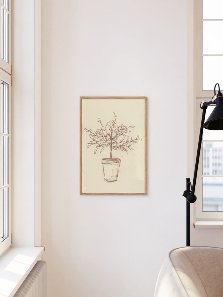 Olive Tree Sketch – Splendus