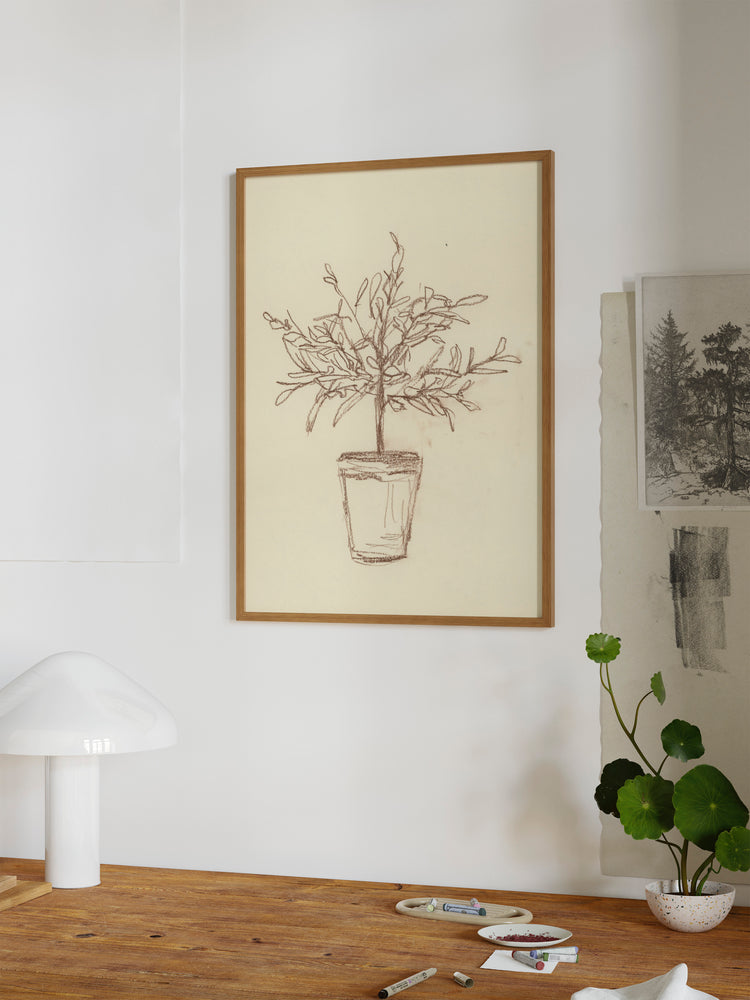 Olive Tree Sketch