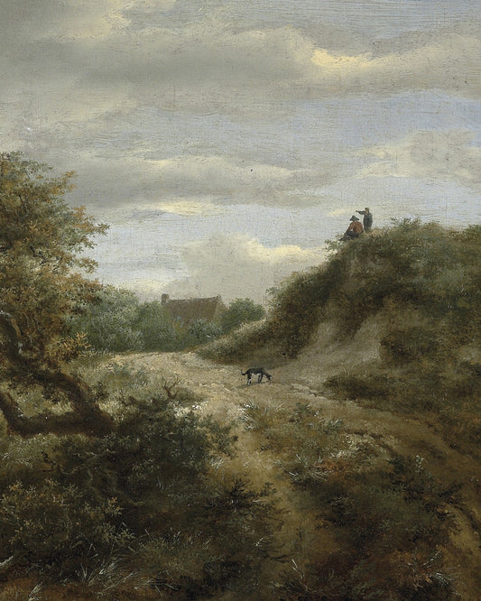 Path Through The Dunes