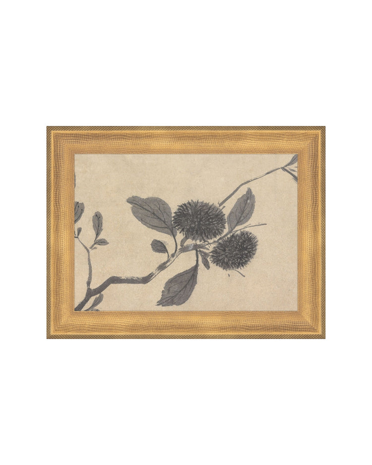 Shadowed Blooms 3