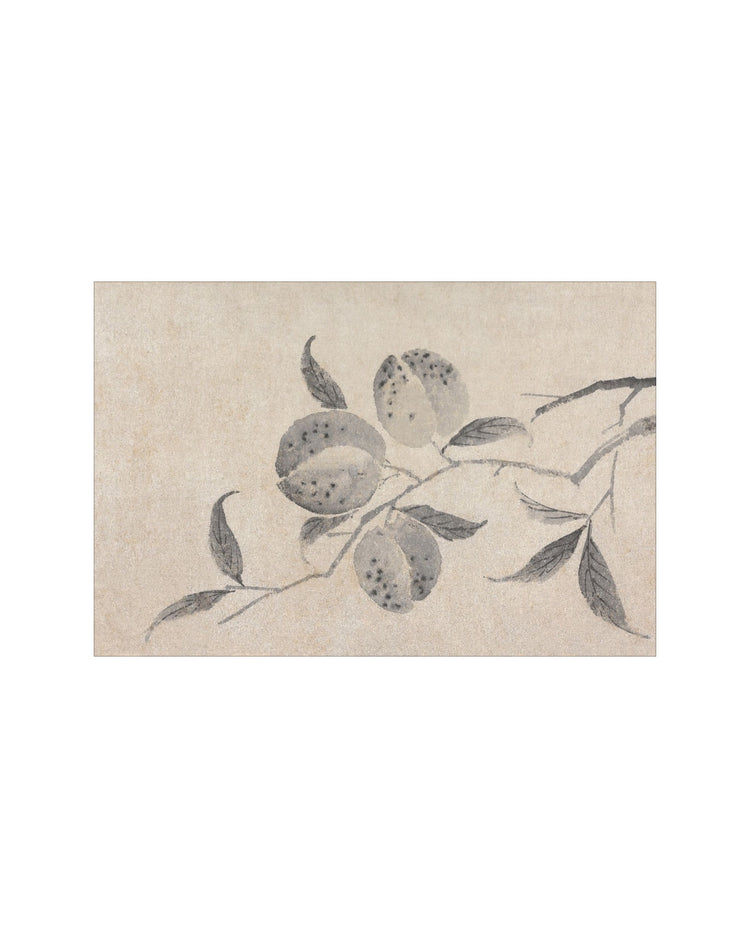 Shadowed Blooms 8