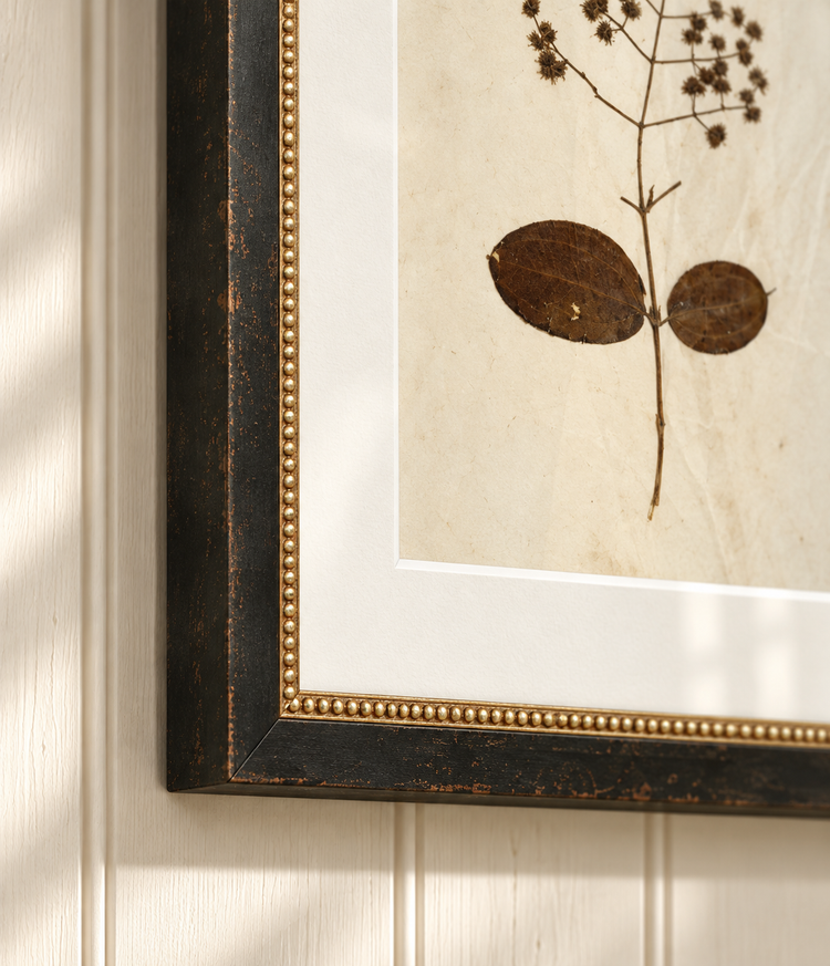 Herbarium I, V, VII & XII | Framed Botanical Art Set