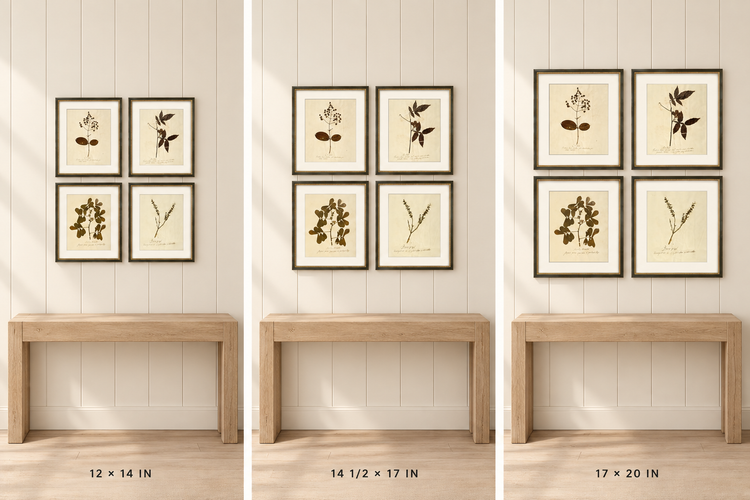 Herbarium I, V, VII & XII | Framed Botanical Art Set