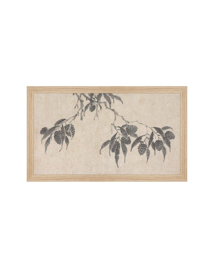 Shadowed Blooms 7