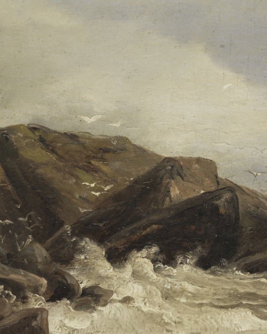 Stormy Coastline