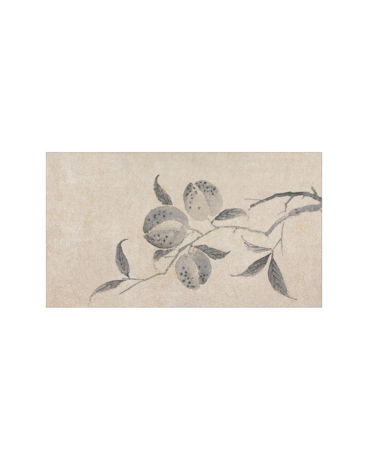 Shadowed Blooms 8