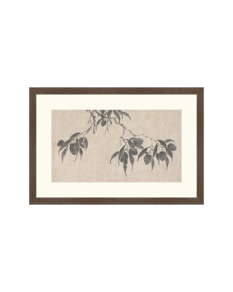 Shadowed Blooms 7