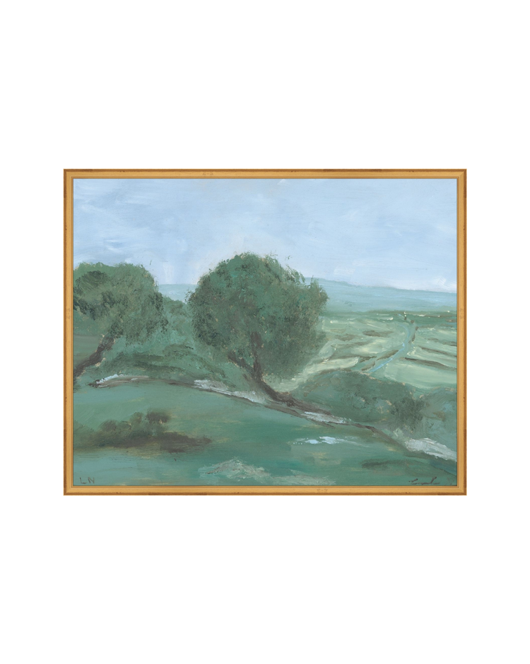 Olives Field Study