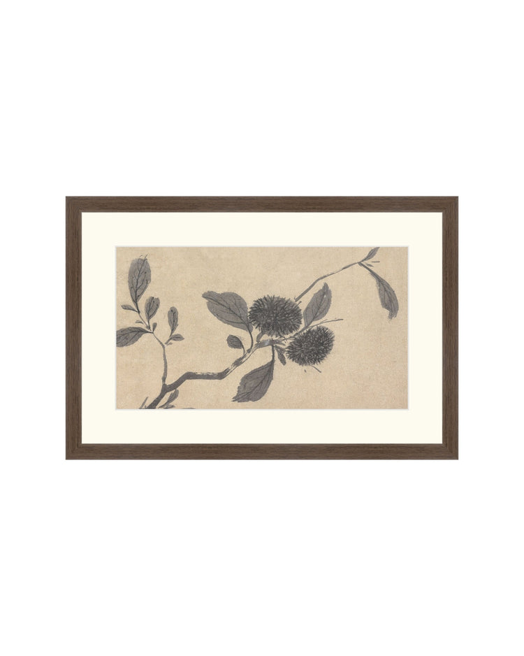 Shadowed Blooms 3