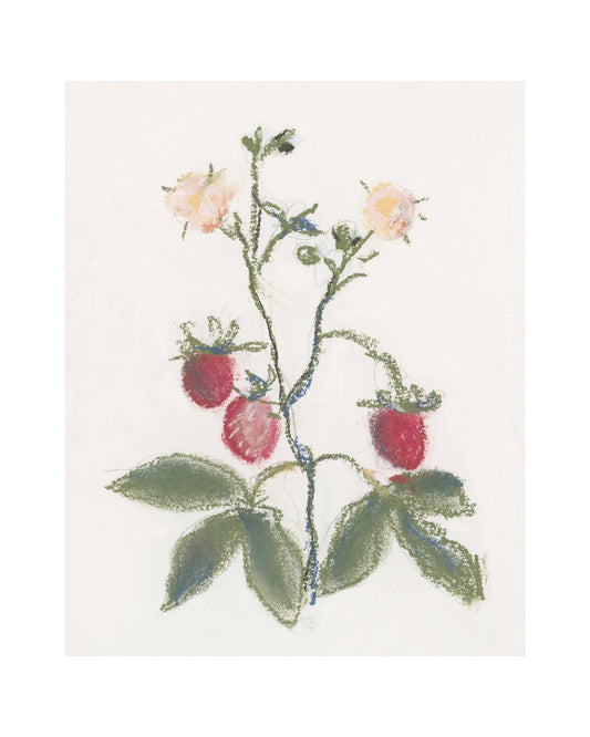 Strawberry Branch HoJ