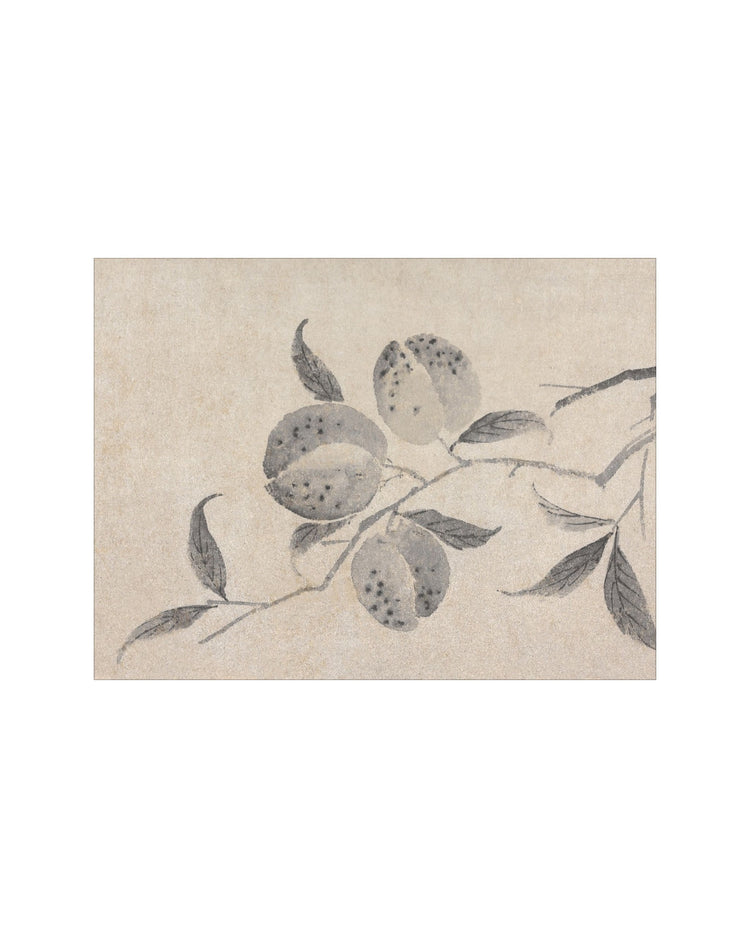 Shadowed Blooms 8