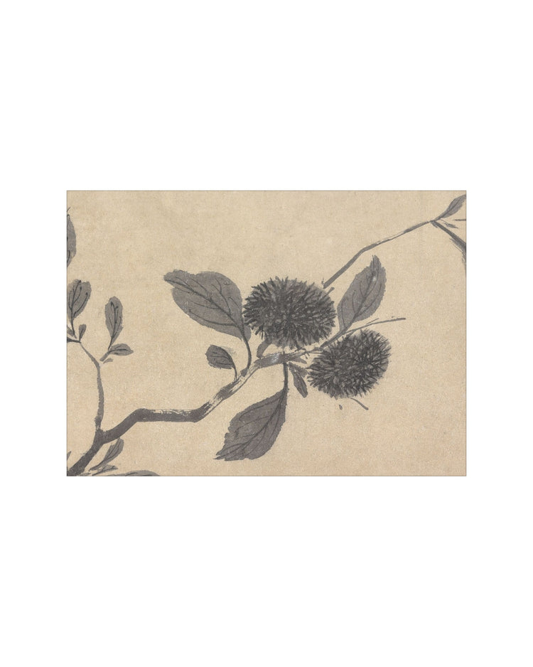 Shadowed Blooms 3