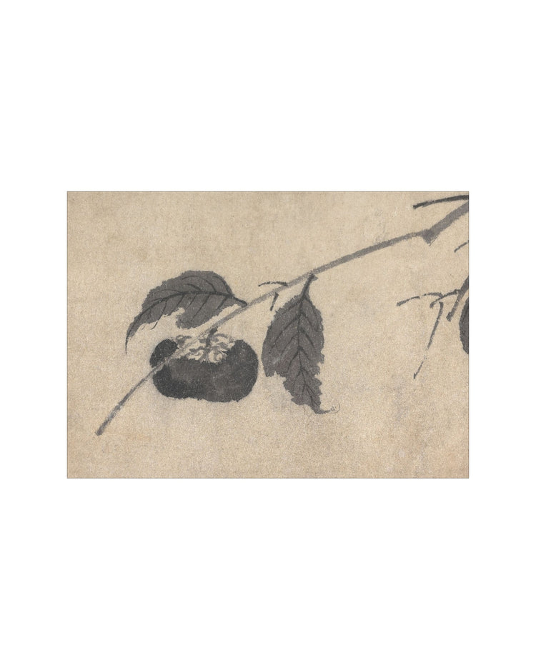 Shadowed Blooms 5