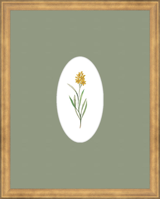 Yellow Flower B&L