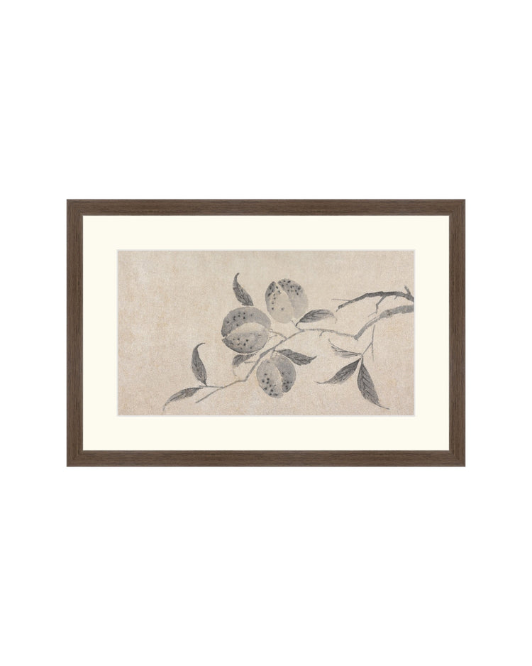 Shadowed Blooms 8