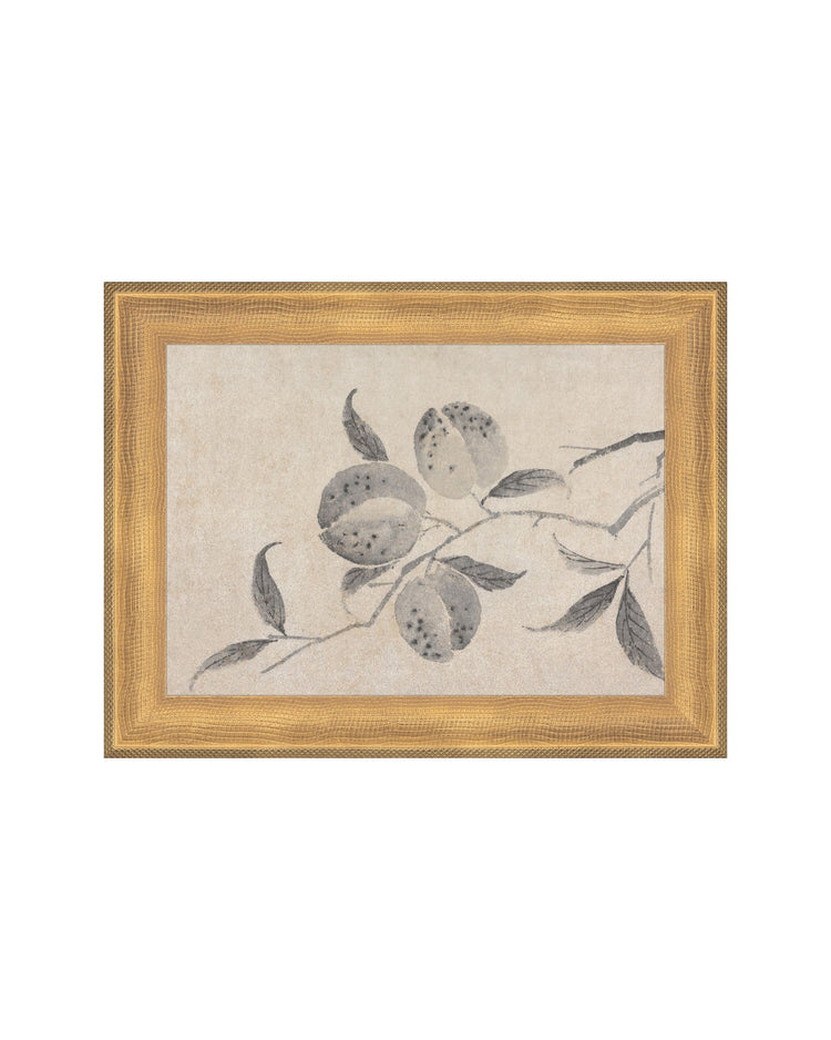 Shadowed Blooms 8